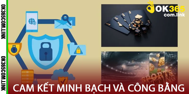 Cam kết minh bạch và công bằng trong cá cược tại OK365