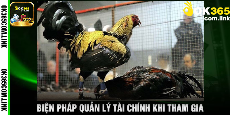 Biện Pháp Quản Lý Tài Chính Khi Tham Gia