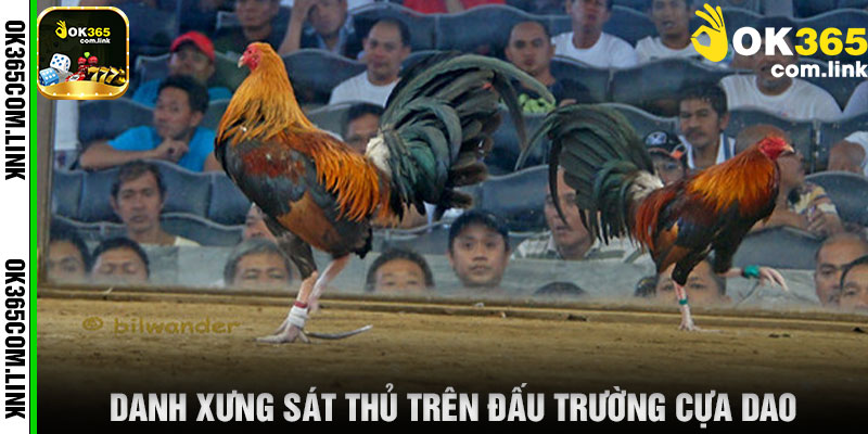Danh Xưng Sát Thủ Trên Đấu Trường Cựa Dao