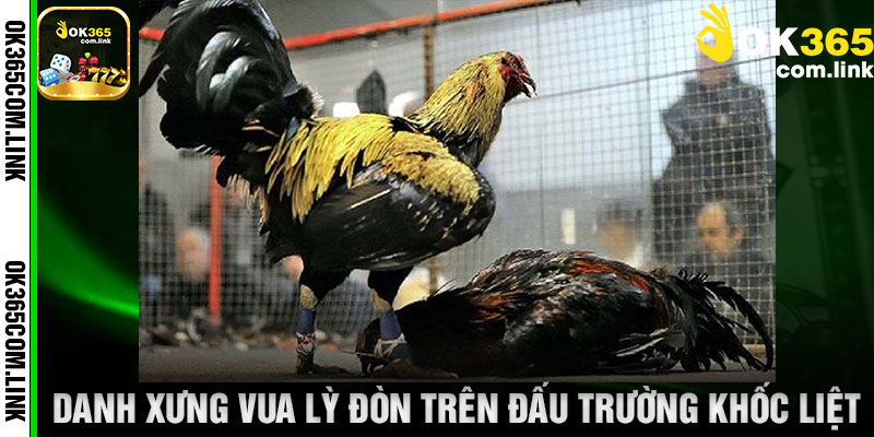 Danh Xưng Vua Lỳ Đòn Trên Đấu Trường Khốc Liệt