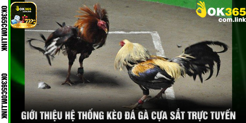 Giới Thiệu Hệ Thống Kèo Đá Gà Cựa Sắt Trực Tuyến