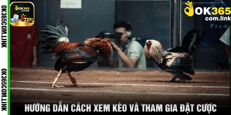 Hướng Dẫn Cách Xem Kèo Và Tham Gia Đặt Cược