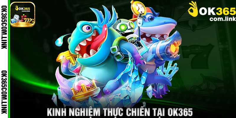 Kinh Nghiệm Thực Chiến Tại Ok365