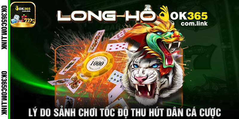 Lý Do Sảnh Chơi Tốc Độ Thu Hút Dân Cá Cược
