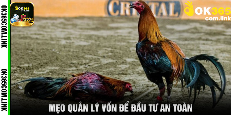 Mẹo Quản Lý Vốn Để Đầu Tư An Toàn