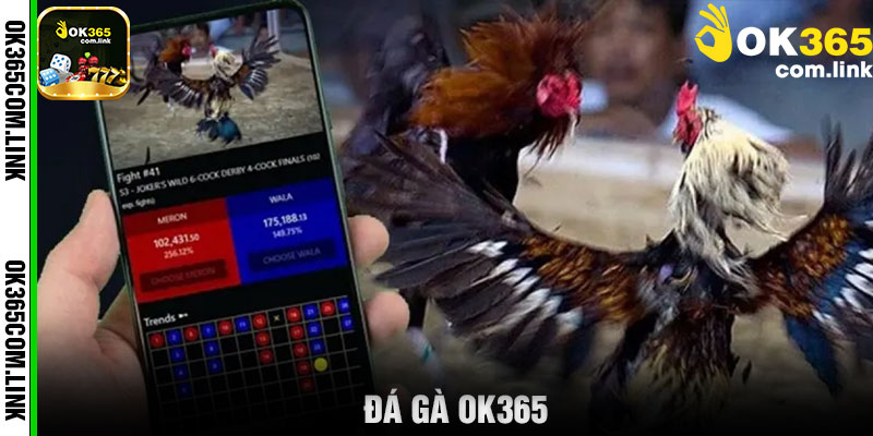 đá gà OK365